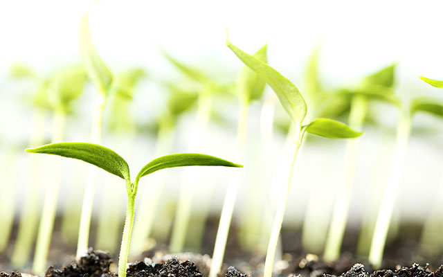 Group Environmental Policy